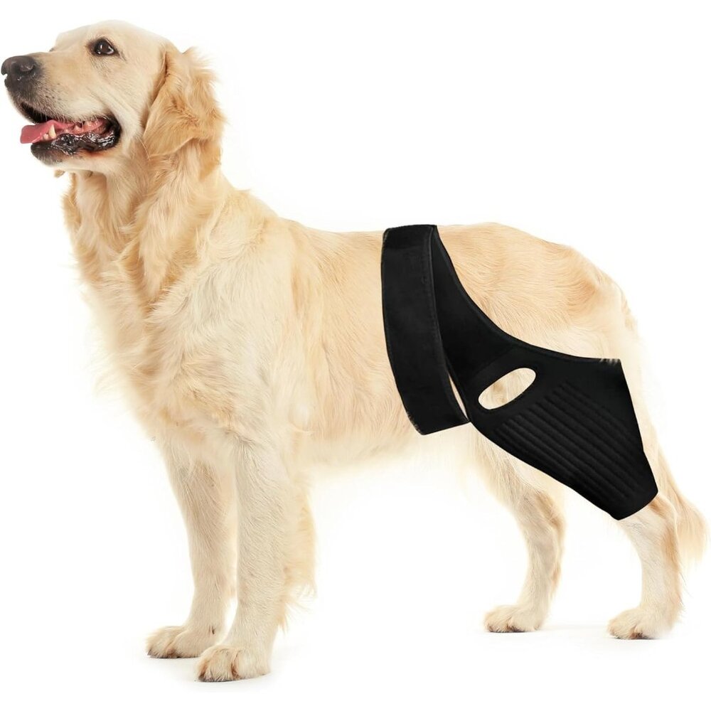 Dog ACL/CCL Knee Brace Torn Ligament Hip Dysplasia‎ Arthritis Rear Hind & Front